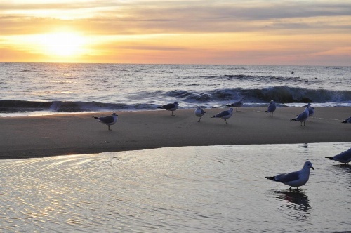 Crystal Beach Hotel image 12